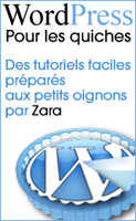 zara Les tutoriels WordPress préparés aux petits oignons par Zara