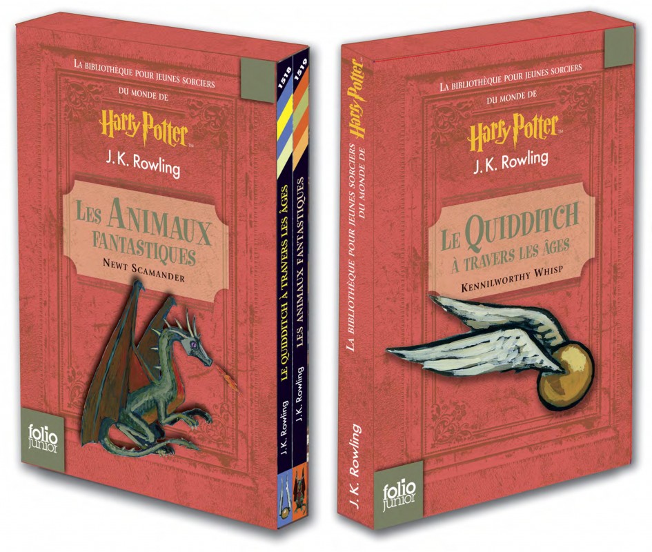 Projet1_Mise en page 1